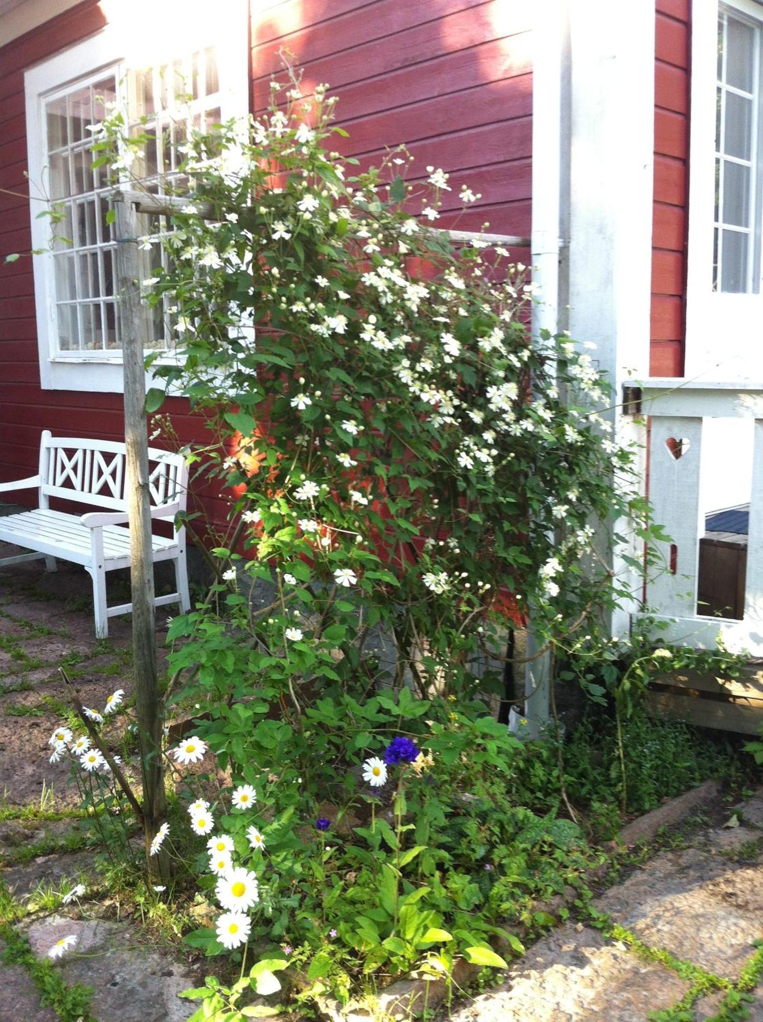 كارلستاد Villa Graesdalen المظهر الخارجي الصورة